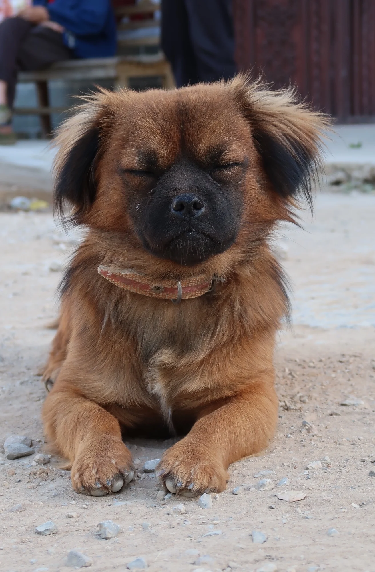  …and then he opened one eye and in a deep, resonant timbre he asked me to get my camera out of his damn face 