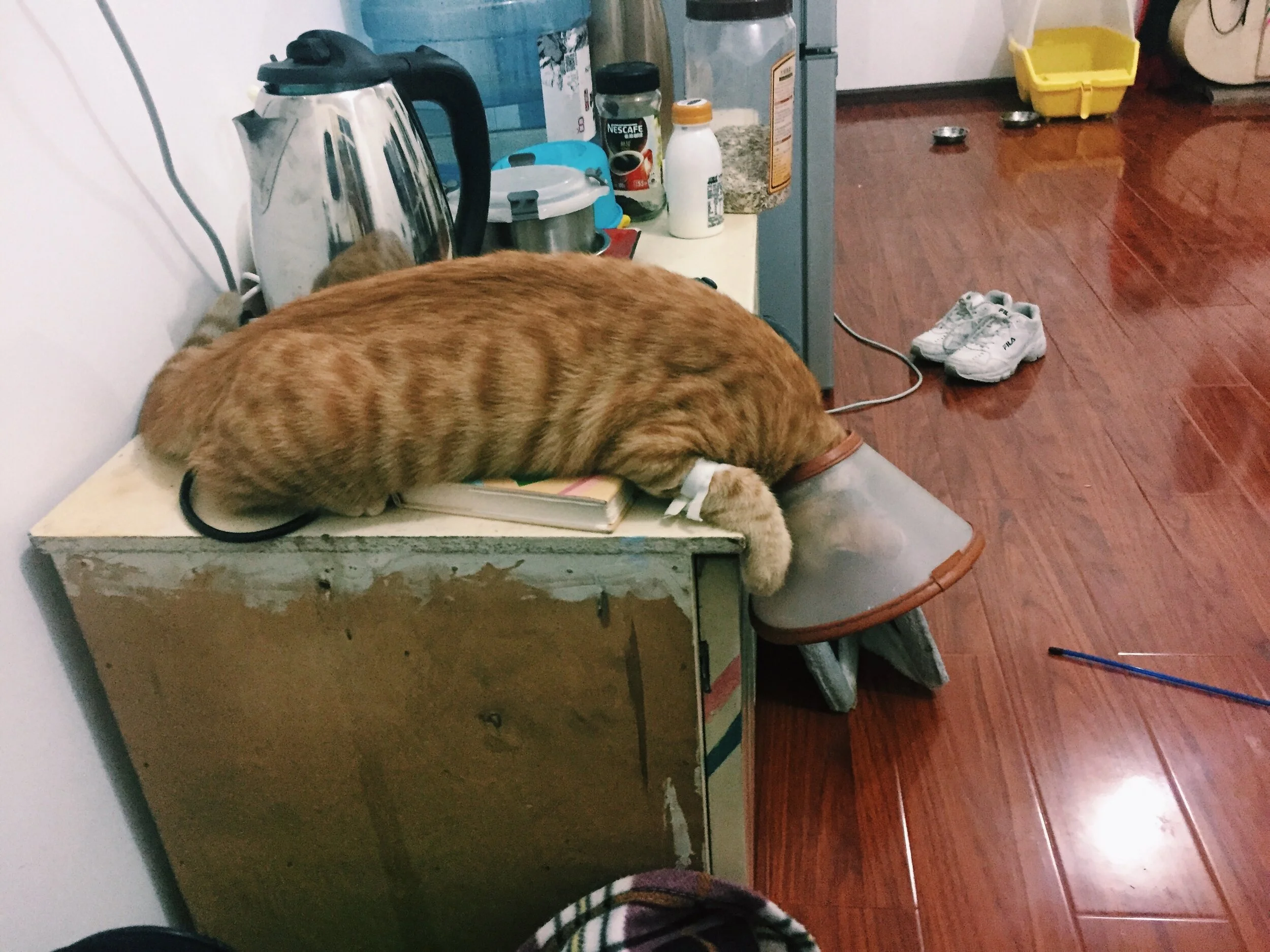  HAHAHAHA ohhhh this is for the best I promise sweetie 