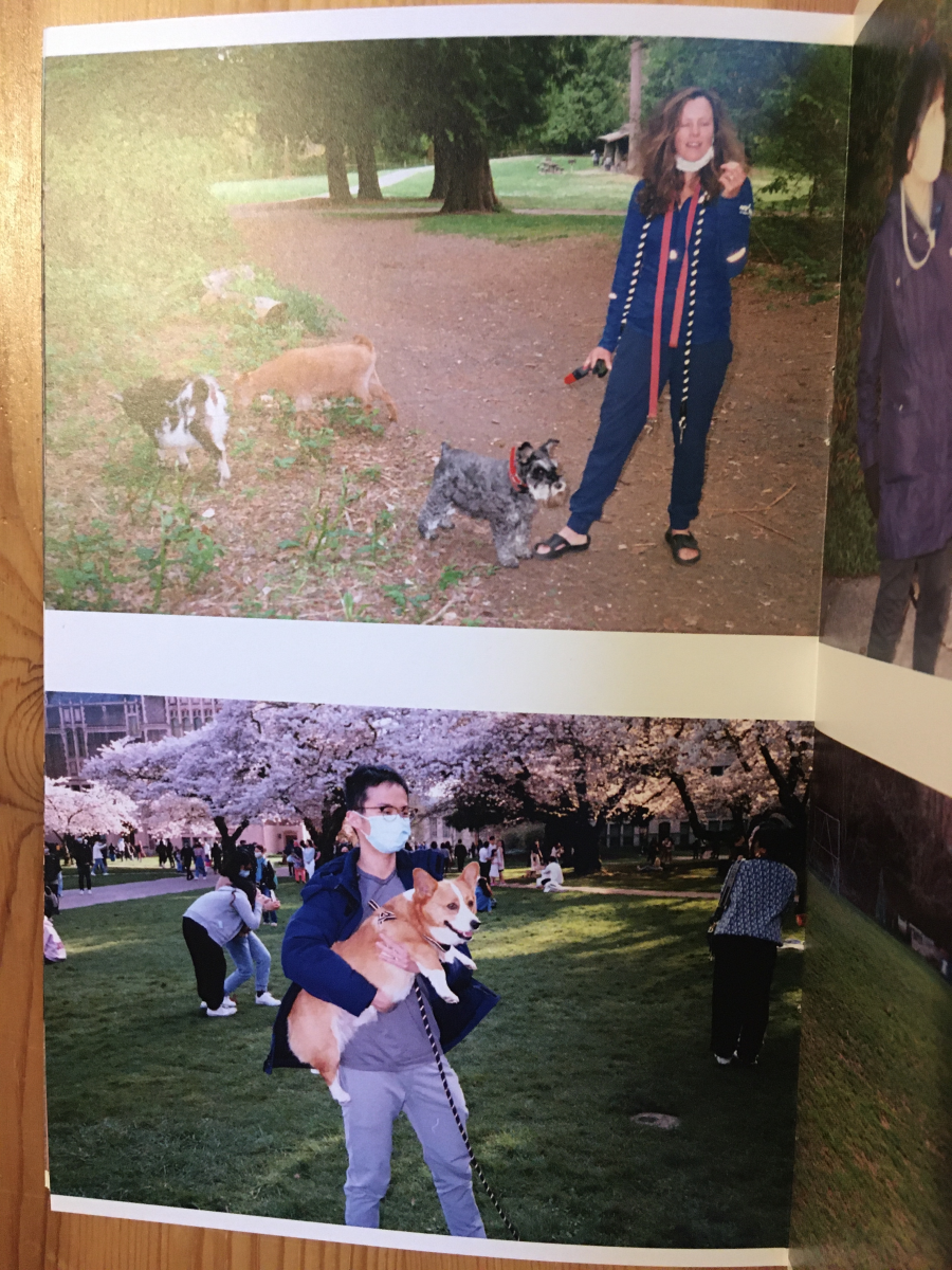 IMG-3305261.png