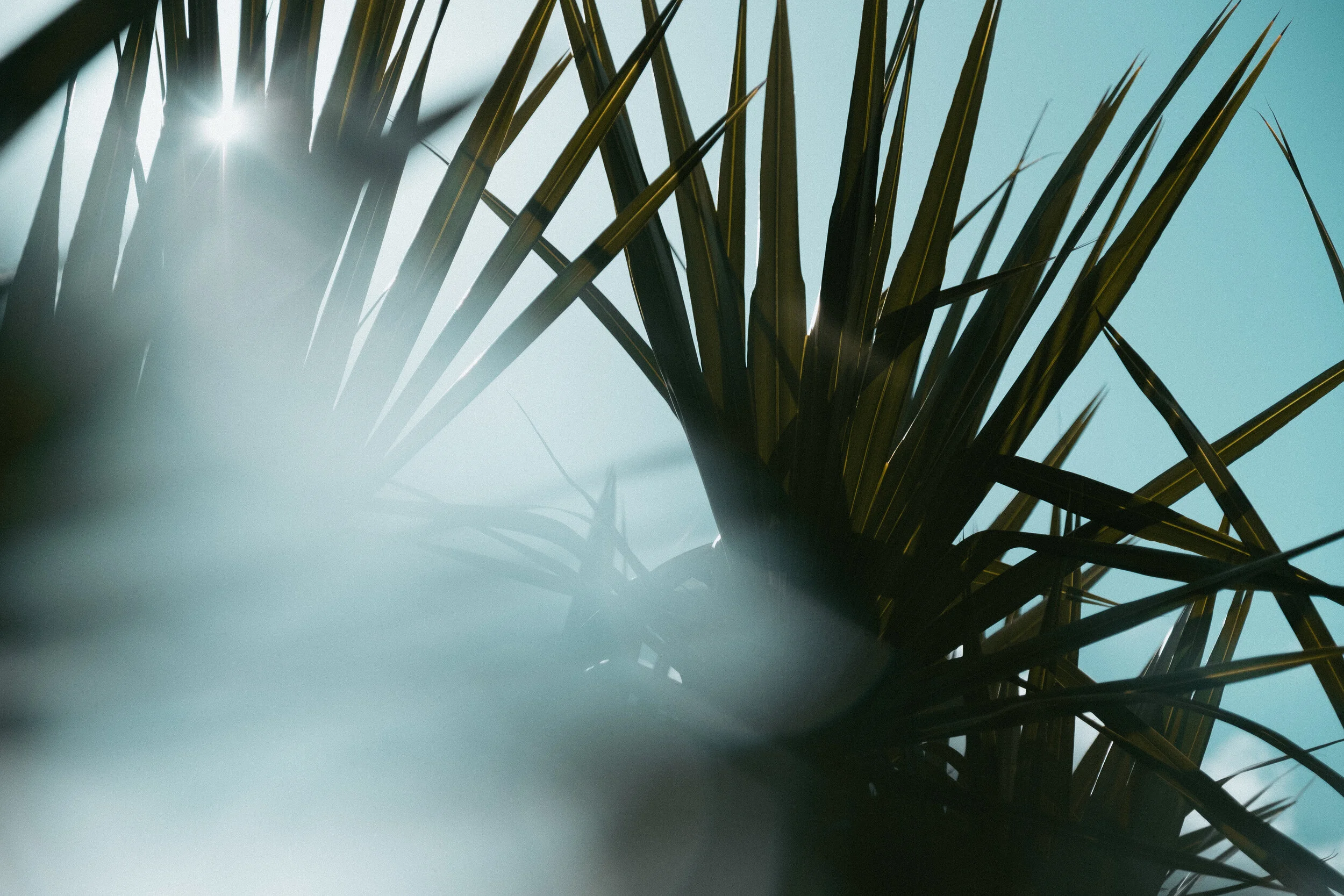 Split Diopter Fx Filter Prism Lens Fx