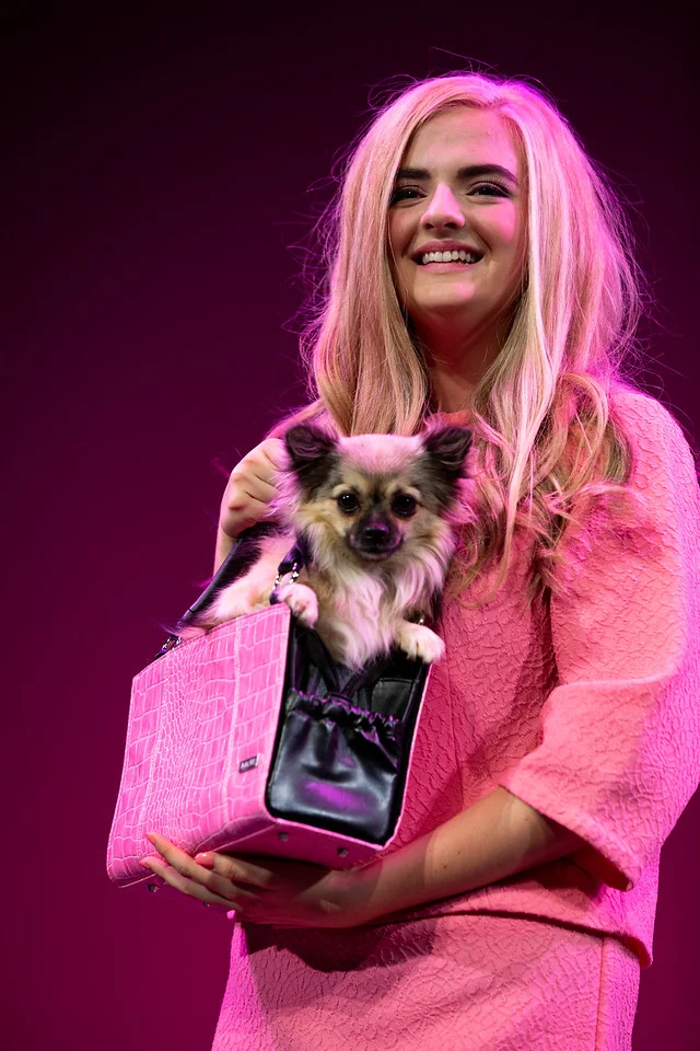 elle and bruiser 3.jpg