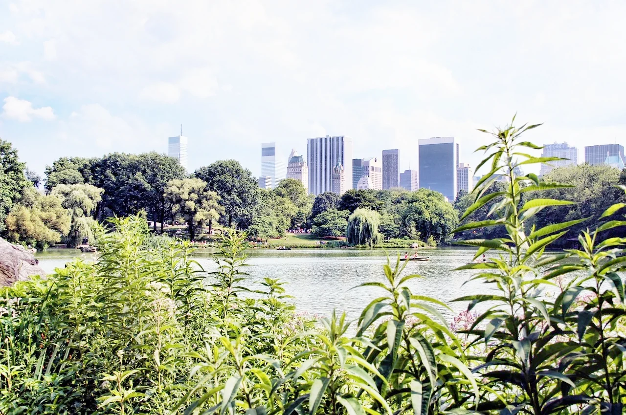 Central-Park-America-New-York-Skyline-Manhattan-742786.jpg