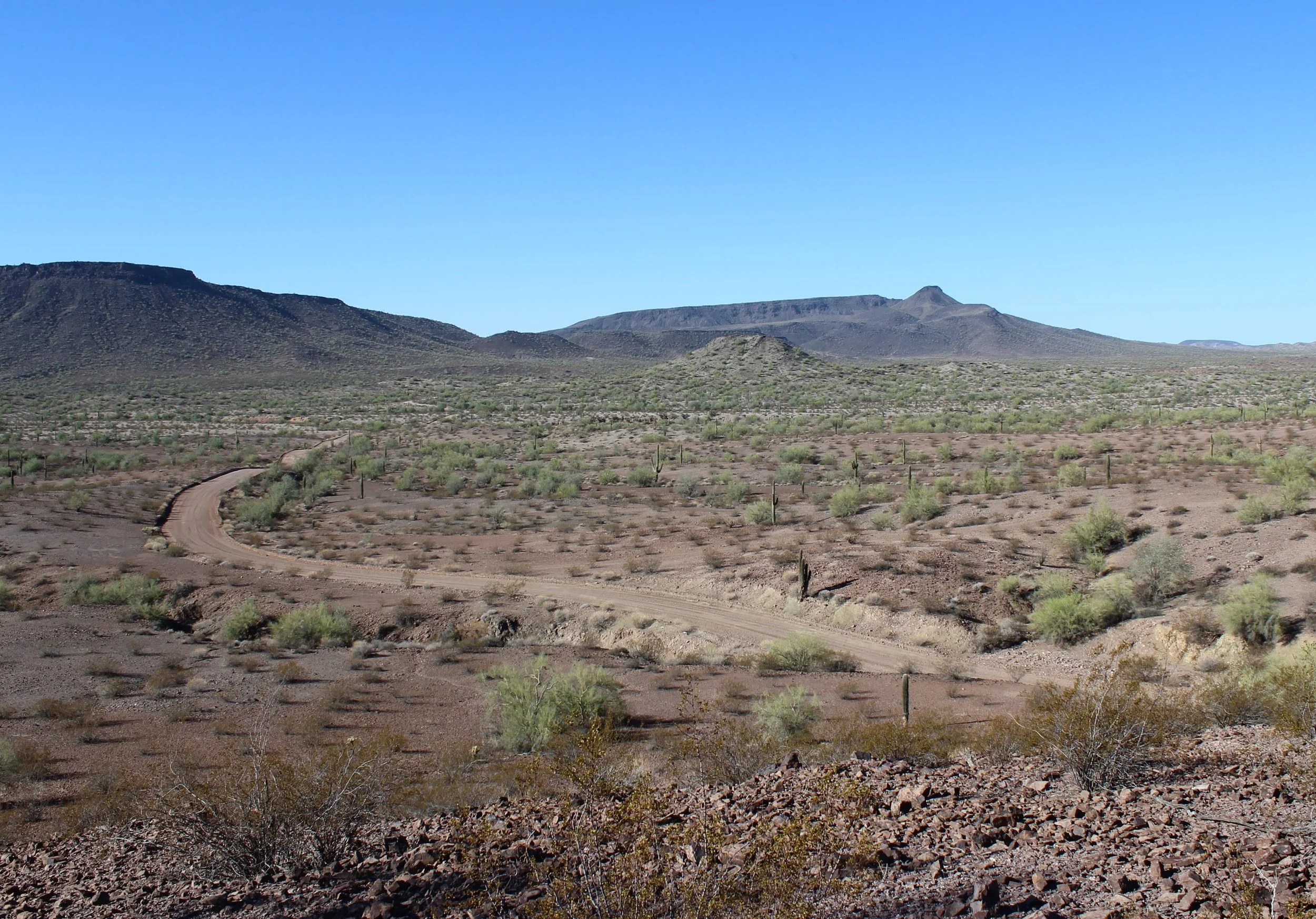 Gila Bend / SW PHX Trails —