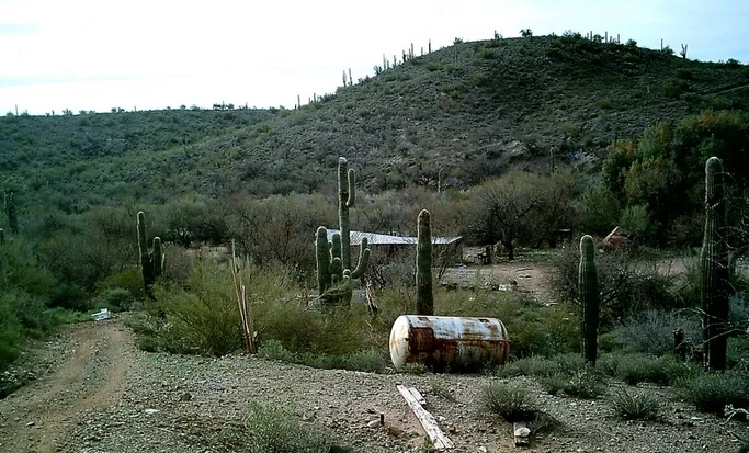 Bog Ranch.jpg