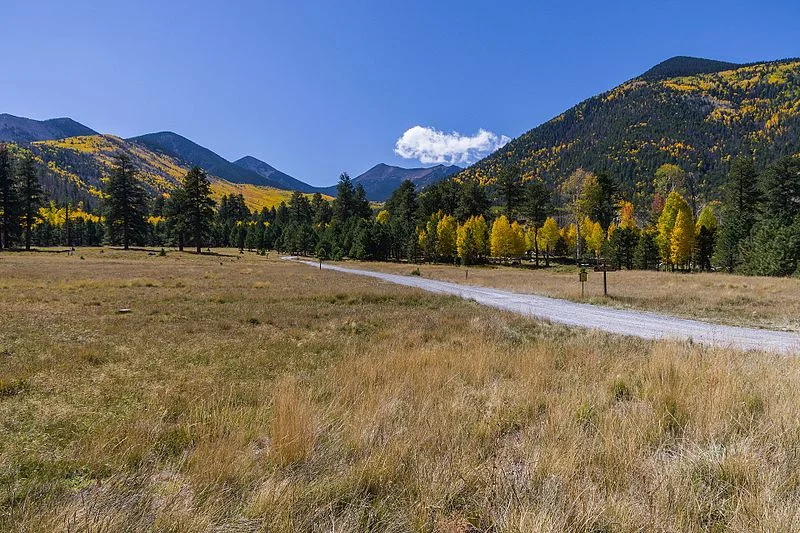 Lockett Meadow Trail —