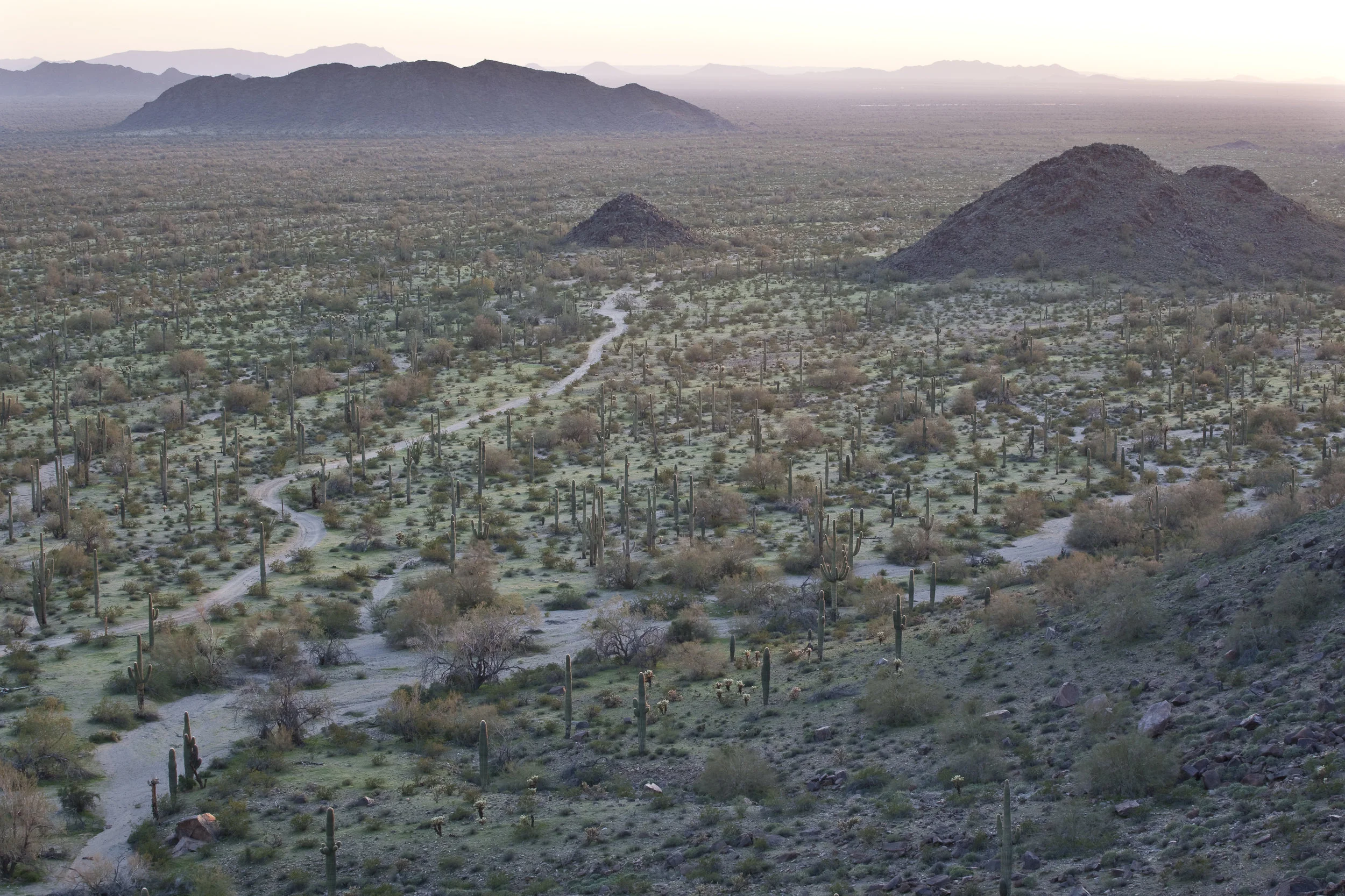 Butterfield Pass Trail —