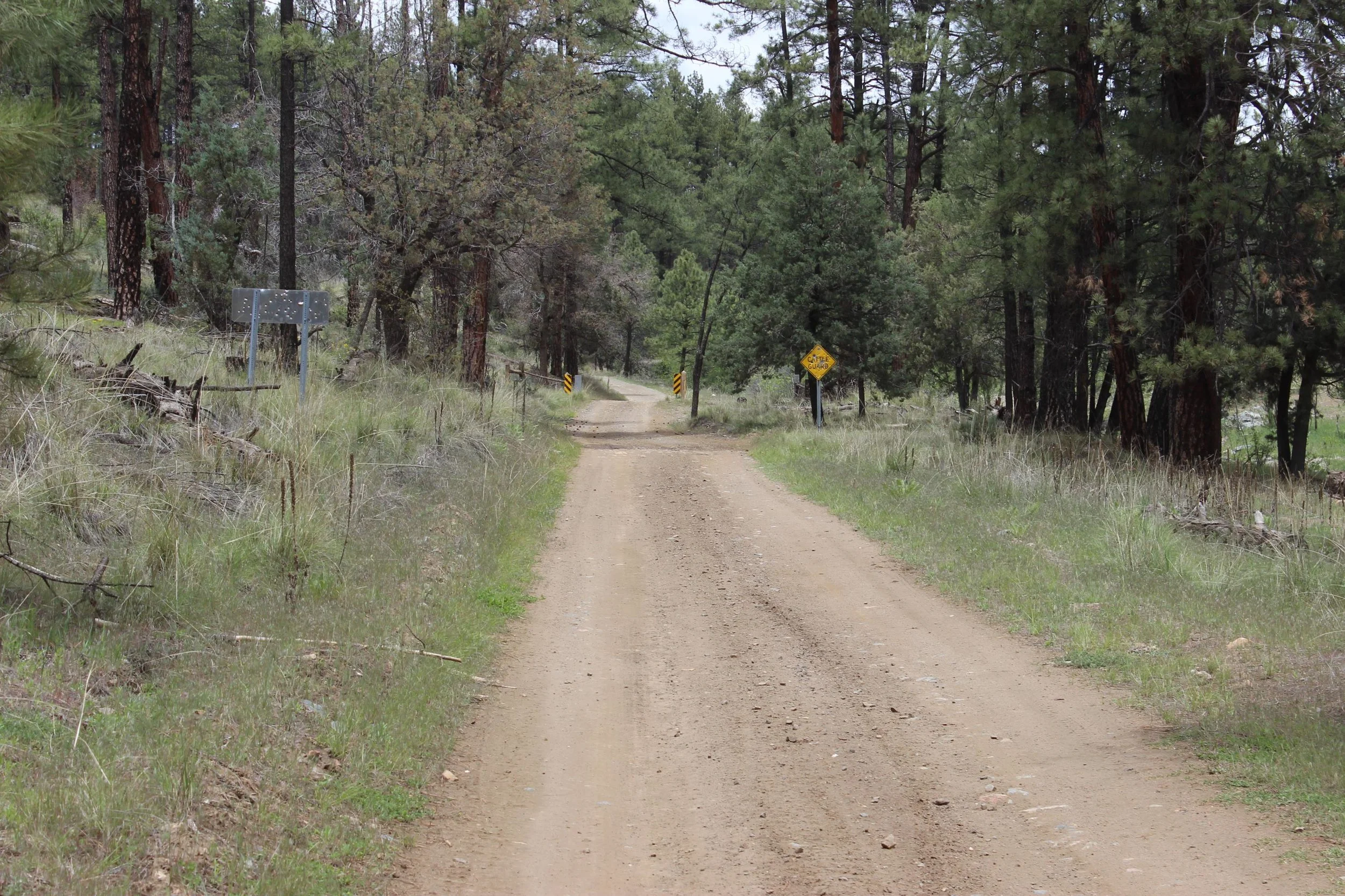 Senator Highway