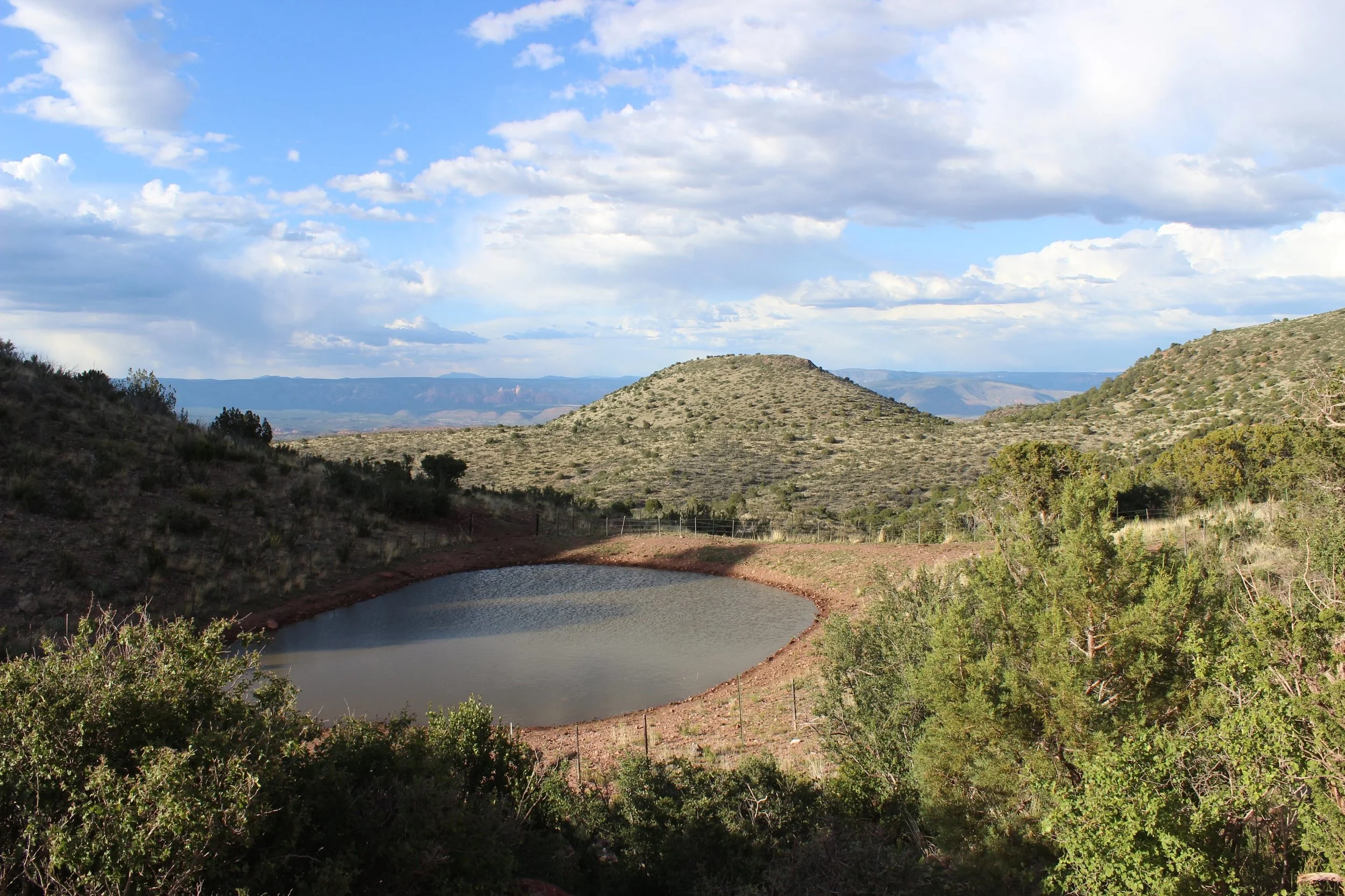 Cattle tank along Jerome-Perkinsville Road