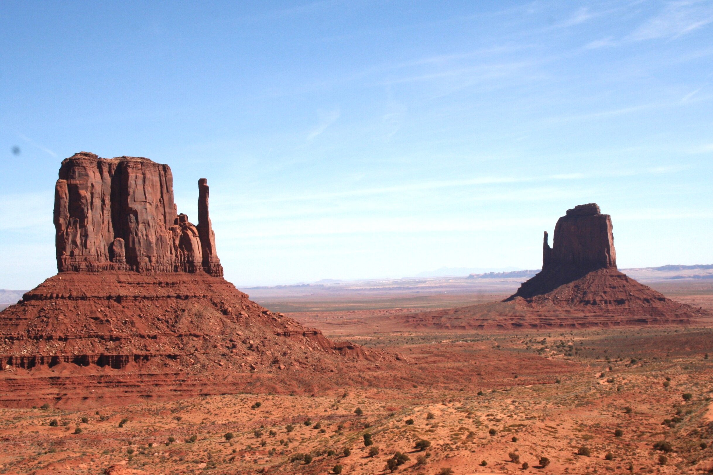   Left mitten &amp; right mitten.   