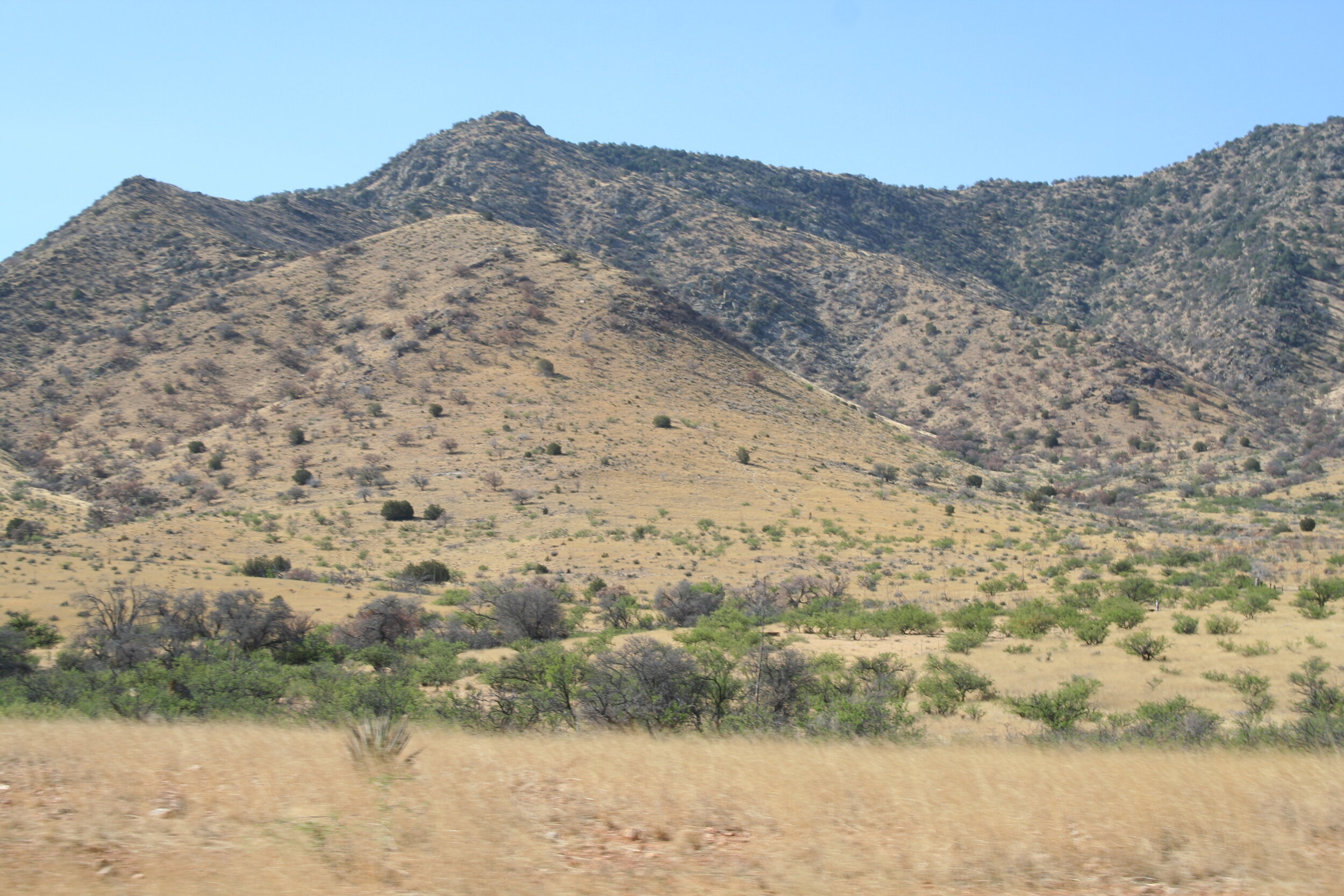   A view along the trail north of Cochise Stronghold.  