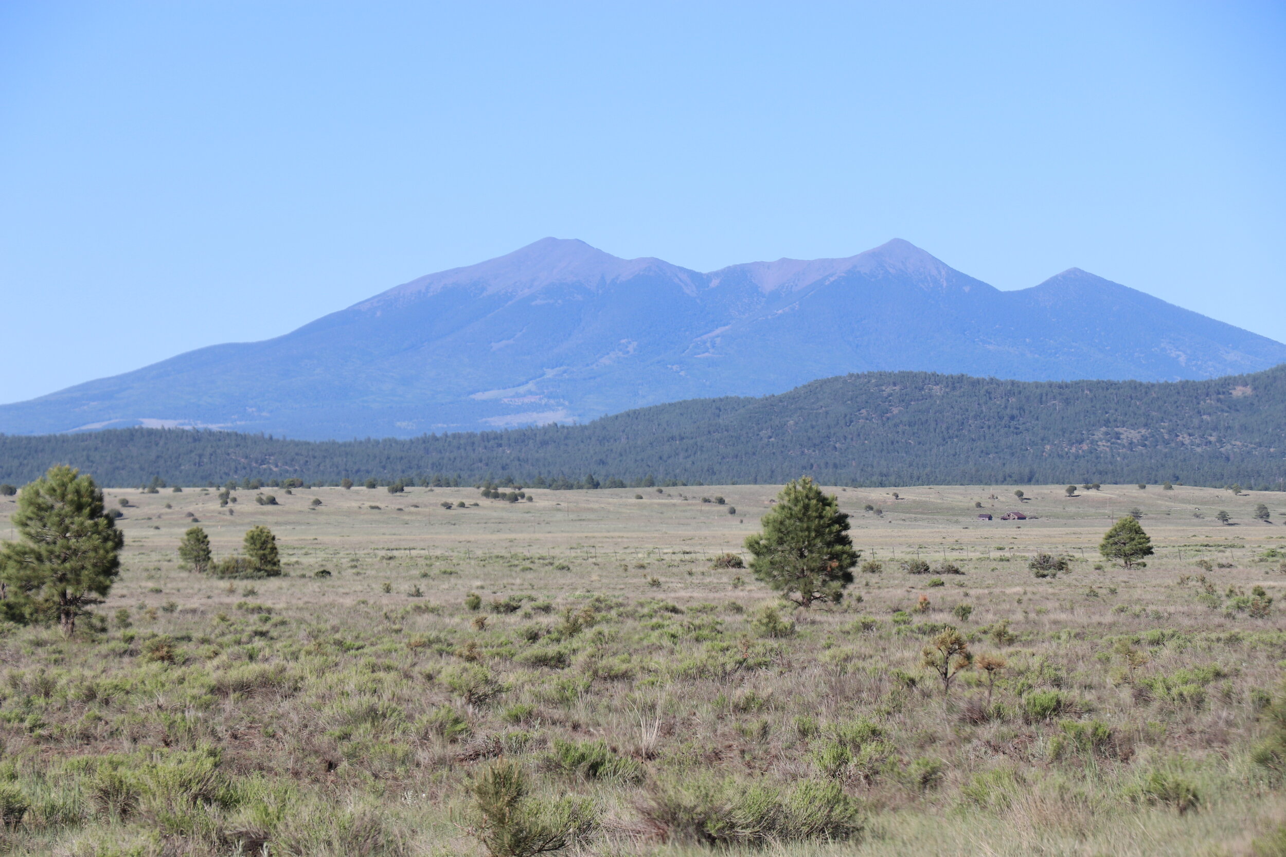 The San Francisco Peaks from Garland Prairie.