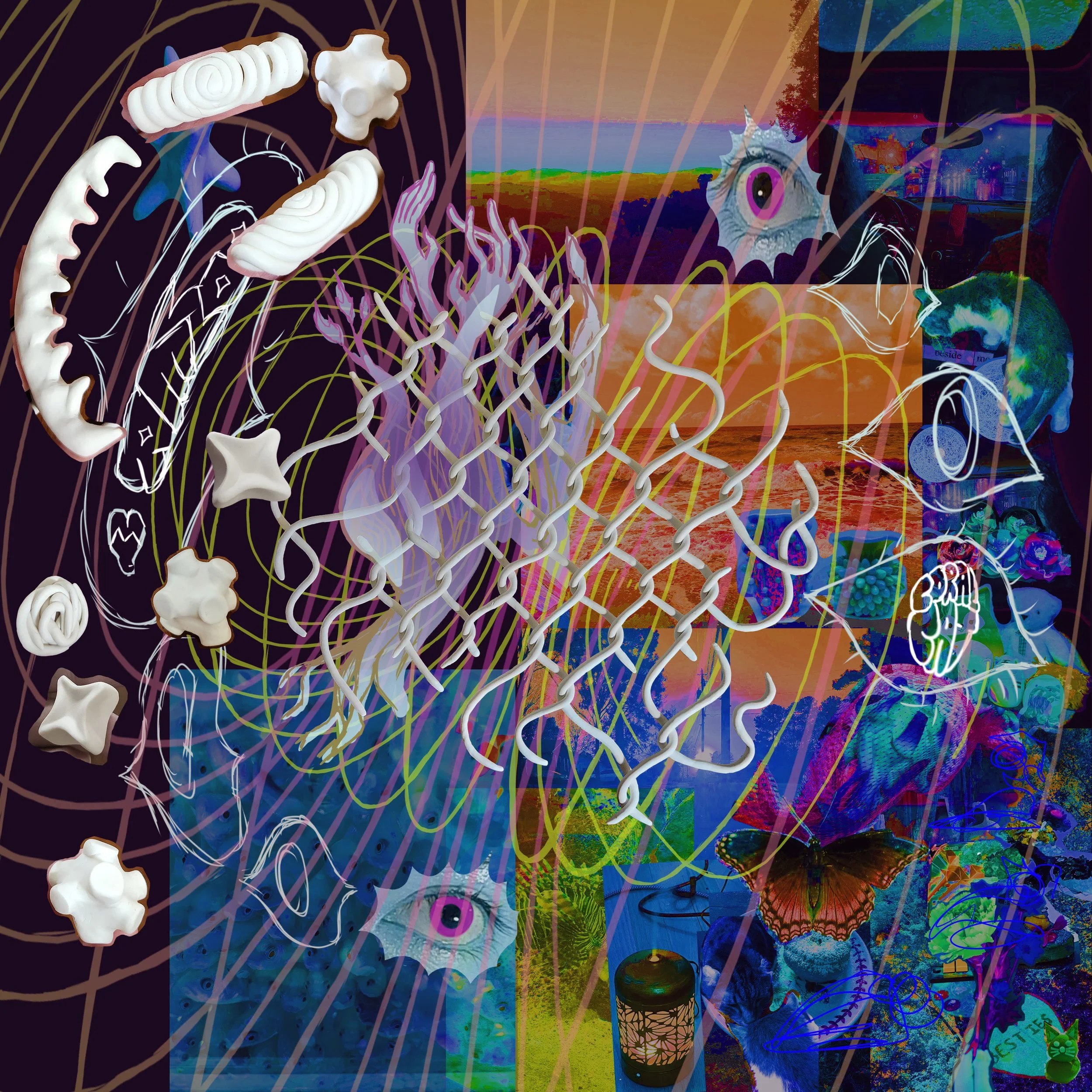 coralcatpmms7.jpg
