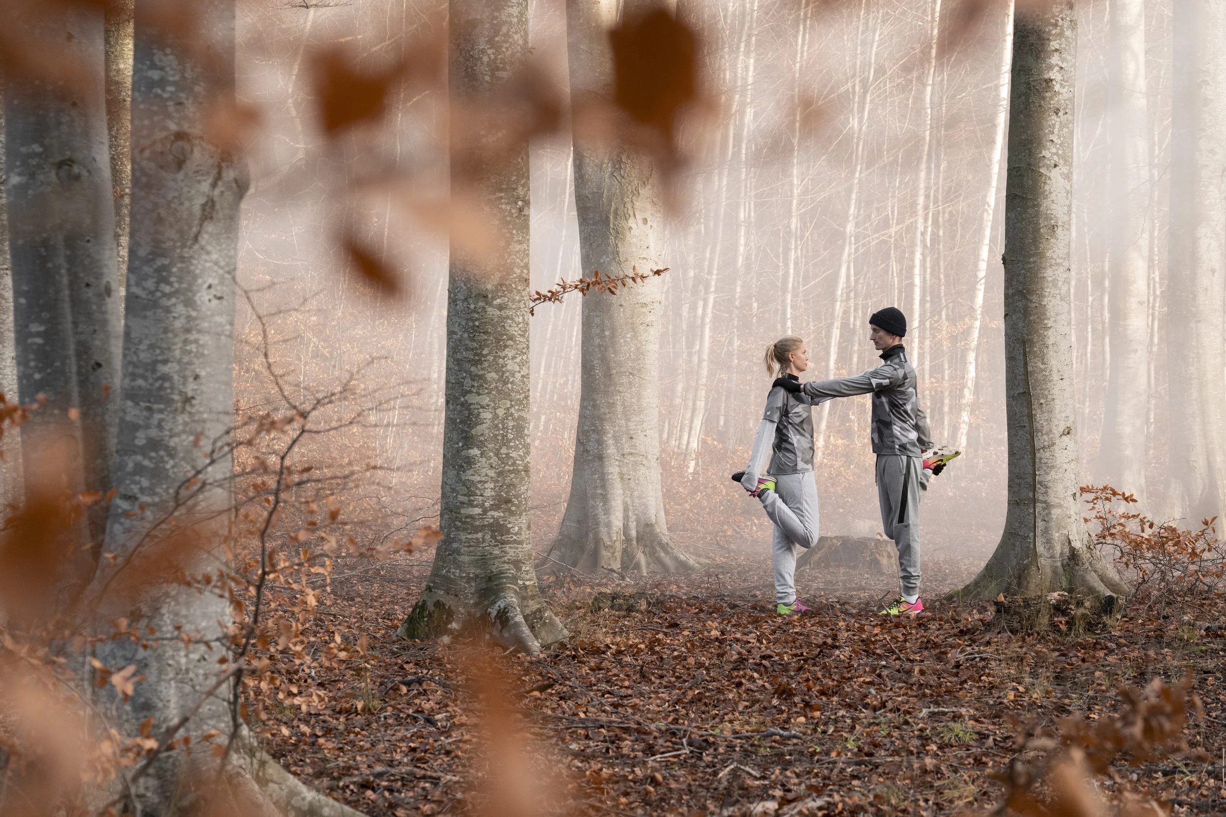 skog.jpg