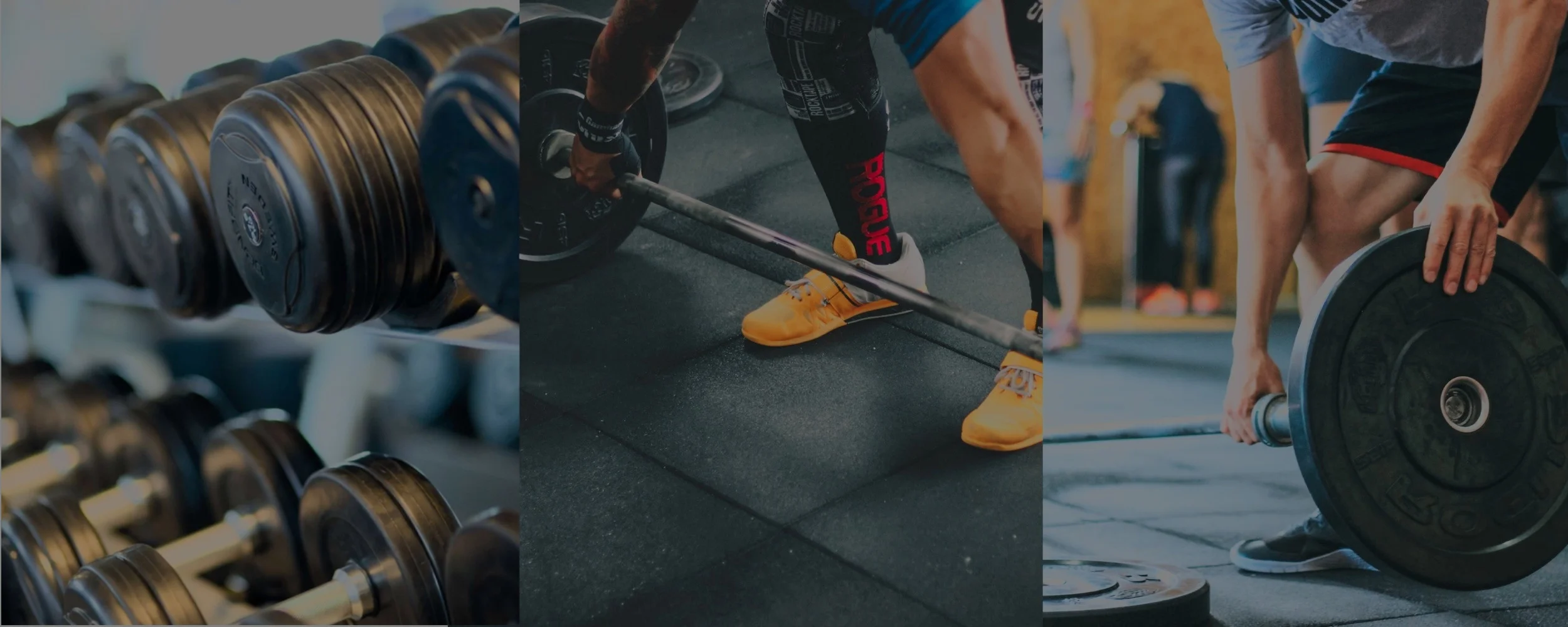 Gym_Equipment_Sourcing.jpg