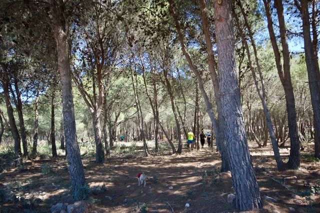 Mijas H3 - Run 1626 - 14 Apr 2019 - Photo37.jpeg