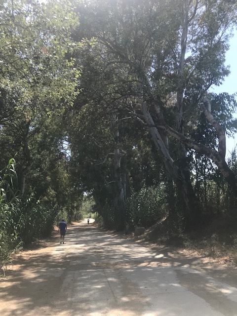 Mijas H3 - Hash Flash Red Hot Chili - Run 1644  - 23 Jun 2019 - Photo3.jpg
