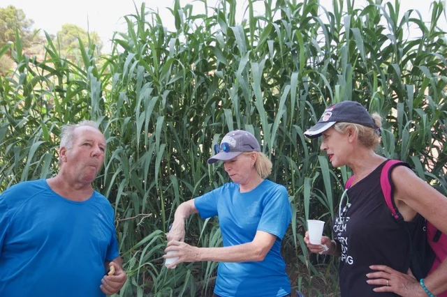 Hash Flash - Seaman Staines - Run 1649 - 21 Jul 2019 - Photo 33.jpeg
