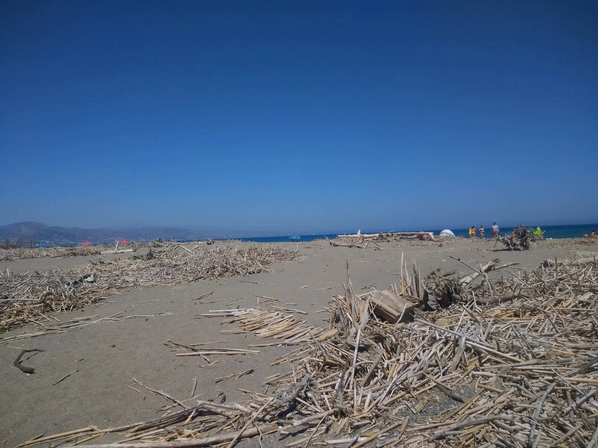 Hash Flash - Hash Cash - Run 1648 - 14 Jul 2019 - Photo 12.jpg