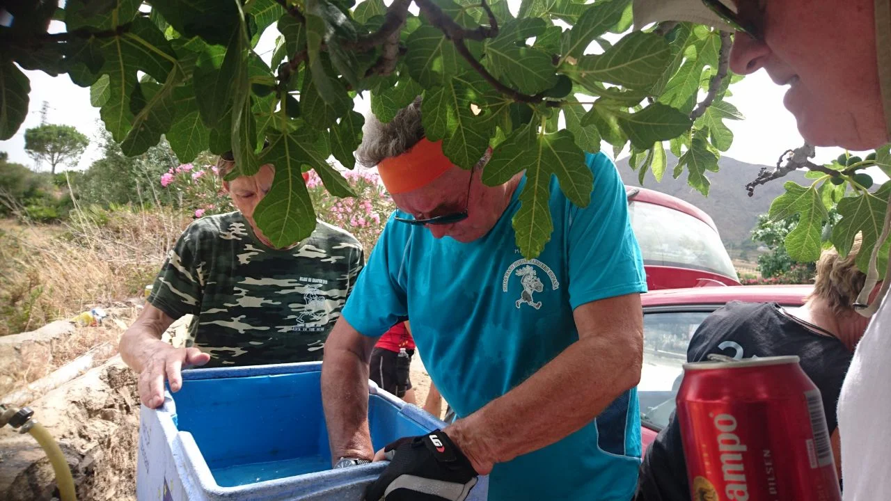 Hash Flash - Kannot Kan - Run 1647 - 07 Jul 2019 - Photo 39.jpg
