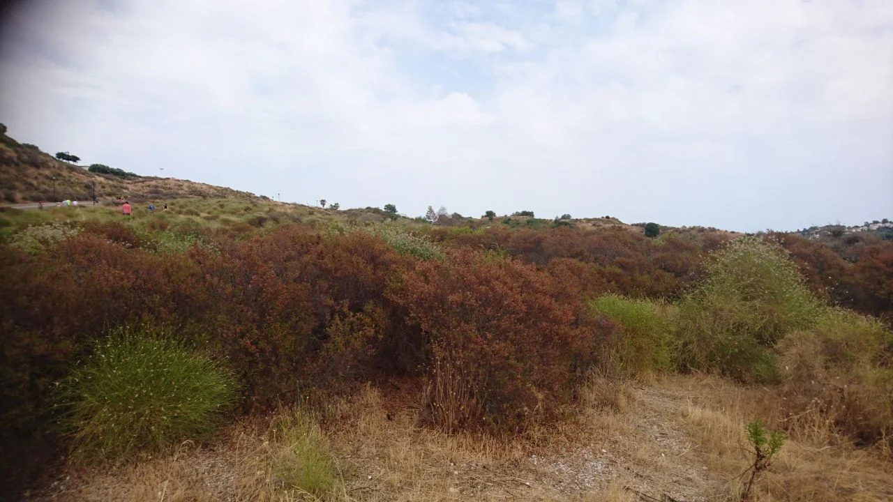 Hash Flash - Kannot Kan - Run 1647 - 07 Jul 2019 - Photo 63.jpg