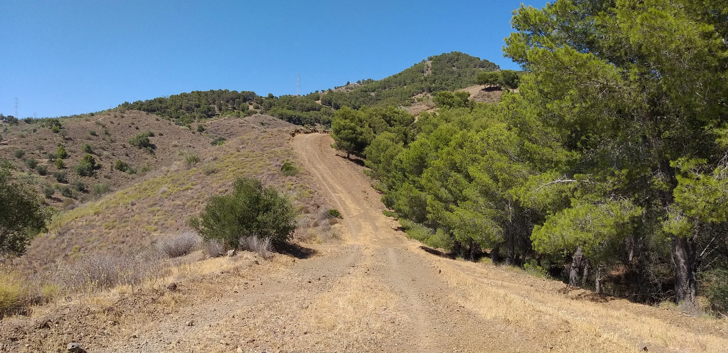 Mijas H3 - Hash Flash GC - Run 1650 - 28 Jul 2019 - Photo  10.jpg