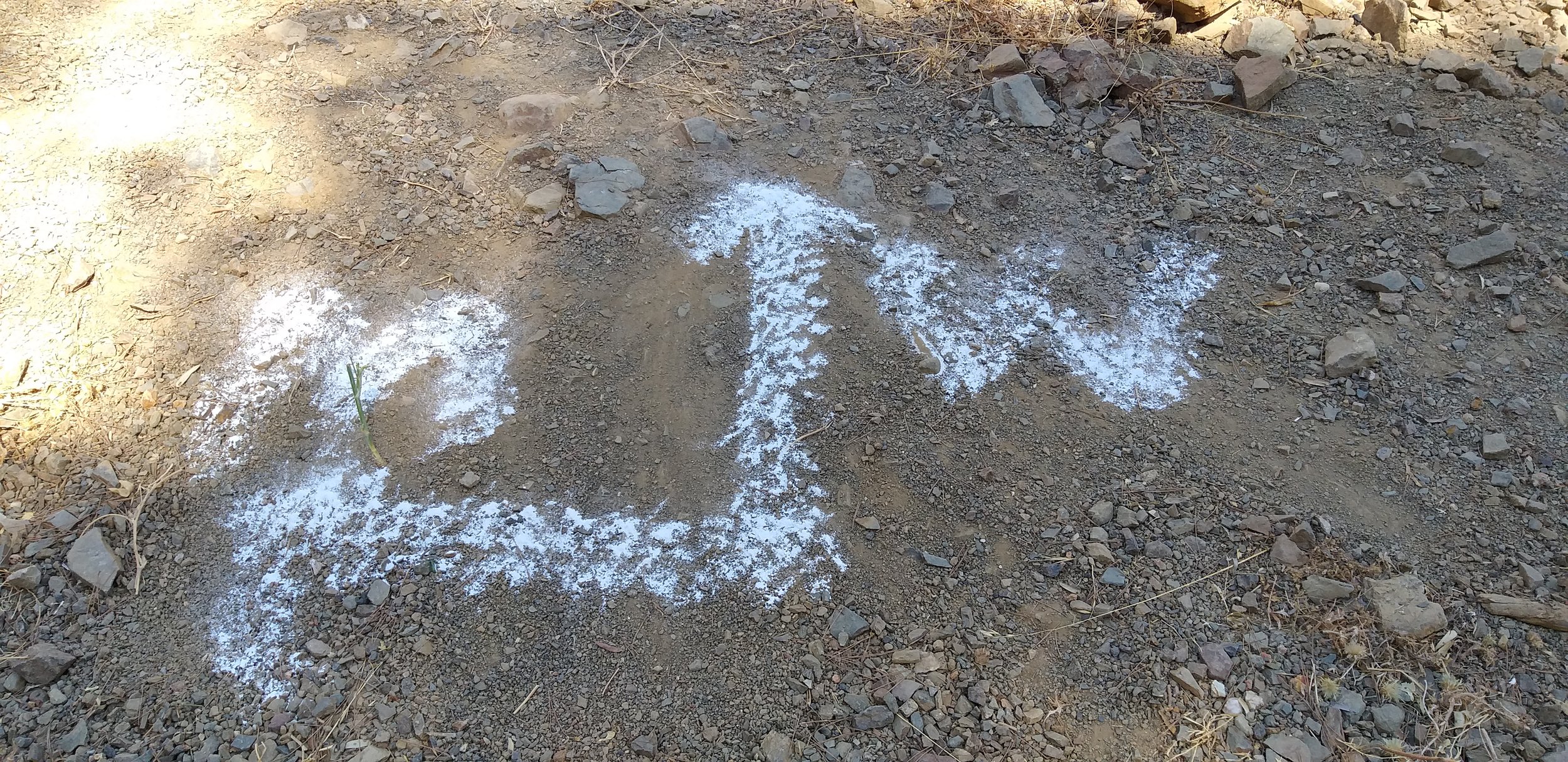 Mijas H3 - Hash Flash GC - Run 1650 - 28 Jul 2019 - Photo  11.jpg