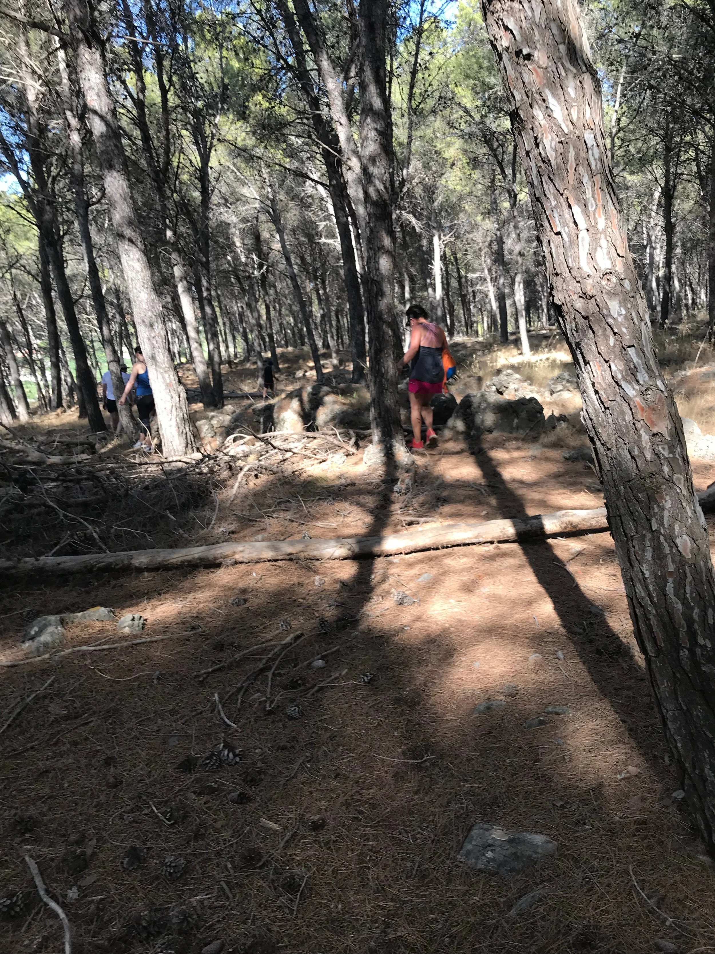Hash Flash - RH Chilli - Run 1652 - 11 Aug 2019 - Photo 8.jpg