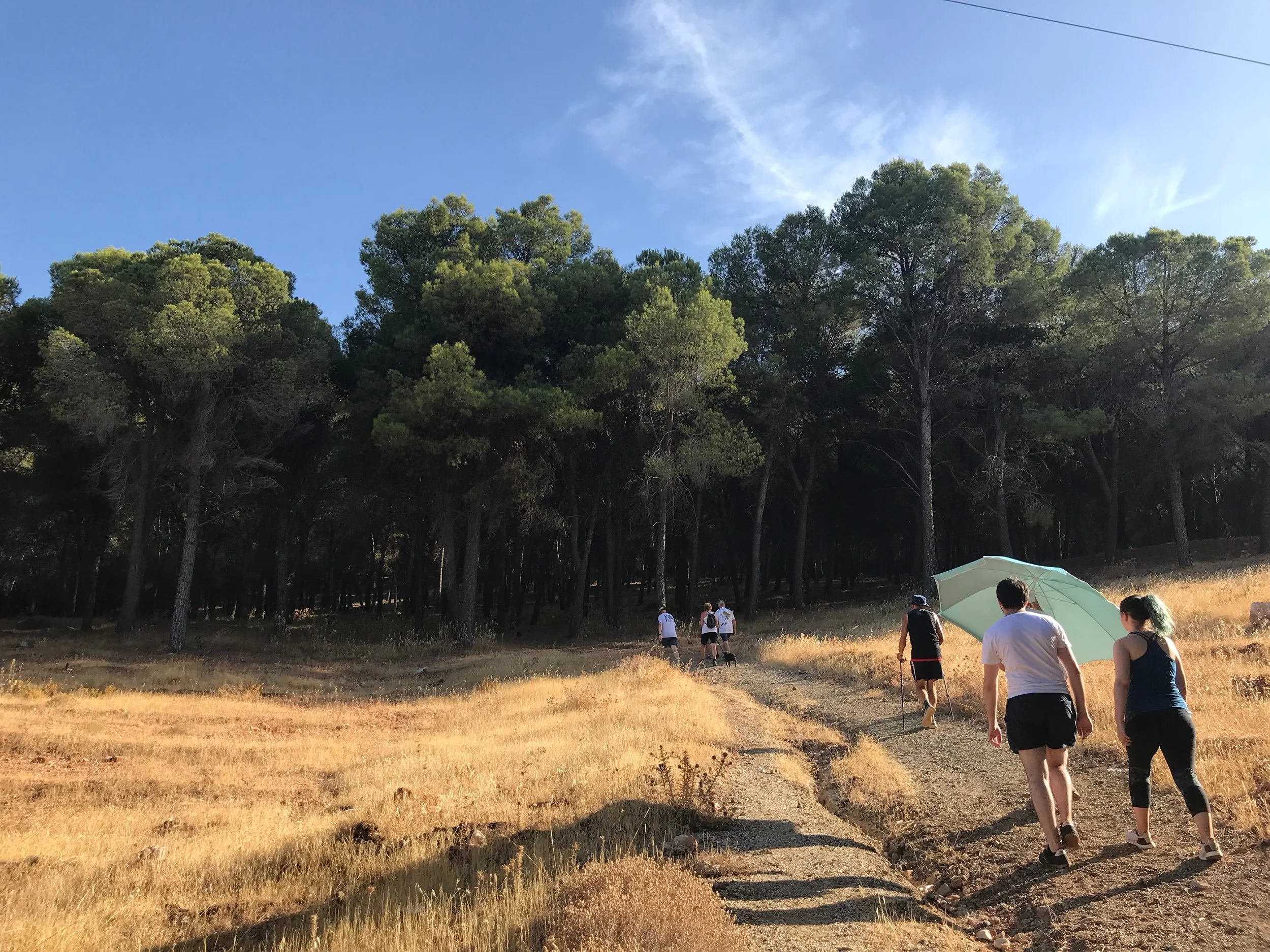 Hash Flash - RH Chilli - Run 1652 - 11 Aug 2019 - Photo 25.jpg
