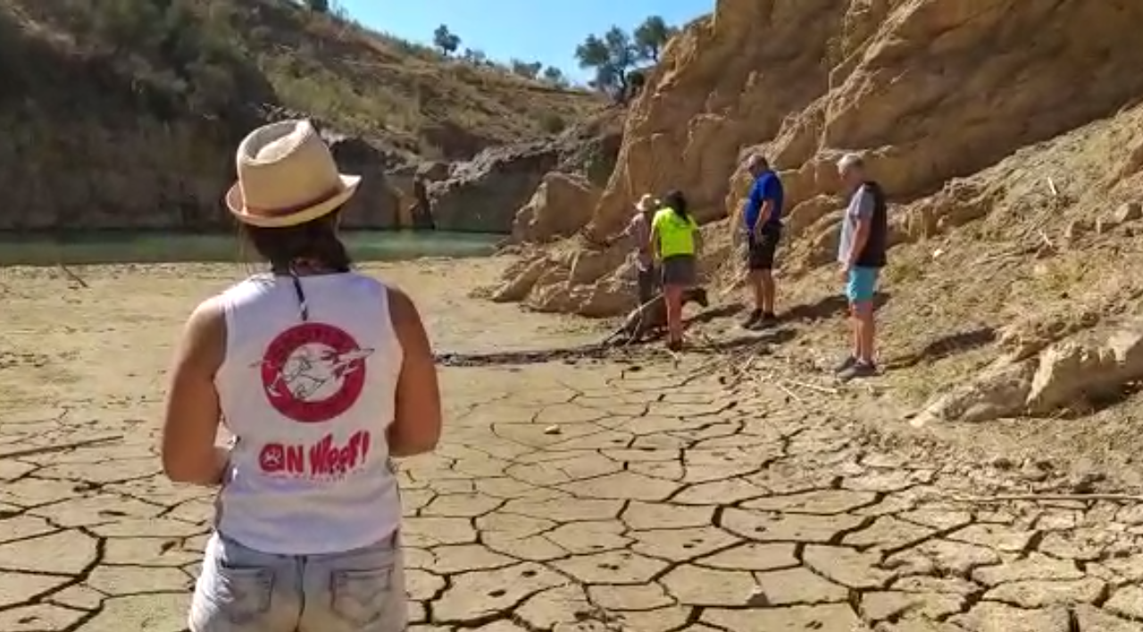 Mijas H3 - Hash Flash GC - Run 1653 - 18 Aug 2019 - Photo 38.png