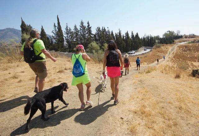 Hash Flash - Seaman Staines - Run 1655 - 01 Sep 2019 - Photo 16.jpeg