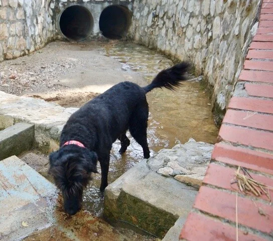Hash Flash - Seaman Staines - Run 1657 - 15 Sep 2019 - Photo 19.jpeg