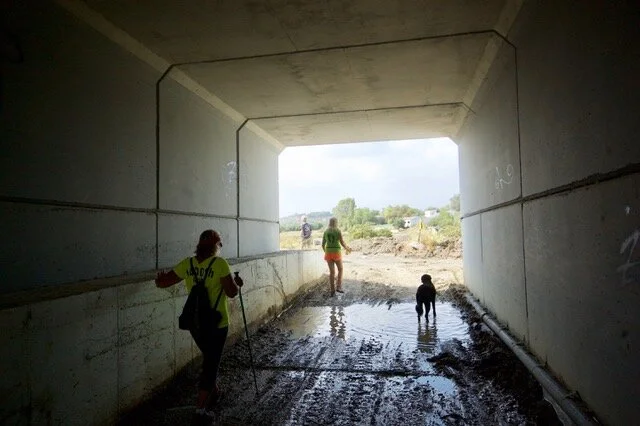 Hash Flash - Seaman Staines - Run 1657 - 15 Sep 2019 - Photo 21.jpeg