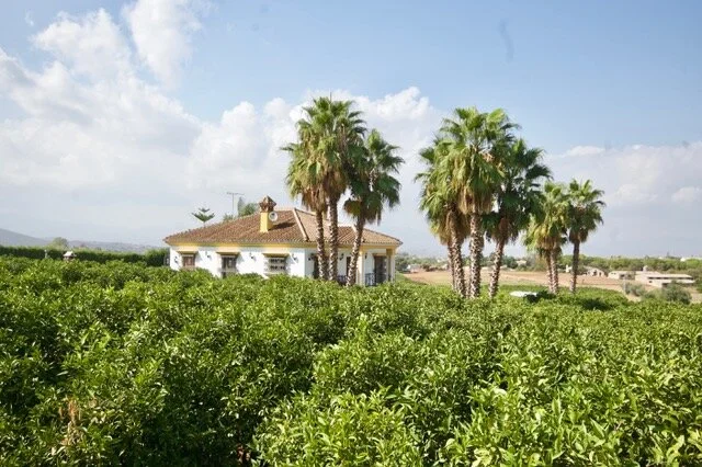 Hash Flash - Seaman Staines - Run 1657 - 15 Sep 2019 - Photo 27.jpeg