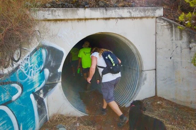 Hash Flash - Seaman Staines - Run 1657 - 15 Sep 2019 - Photo 28.jpeg