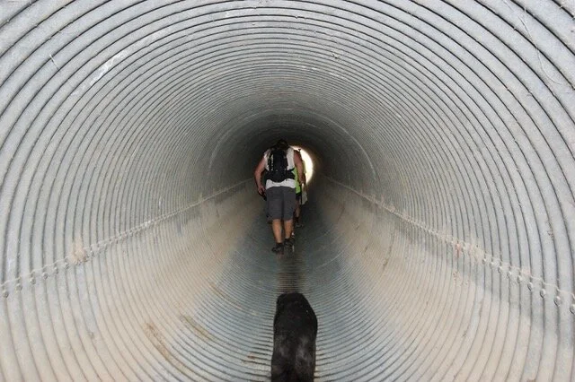 Hash Flash - Seaman Staines - Run 1657 - 15 Sep 2019 - Photo 29.jpeg