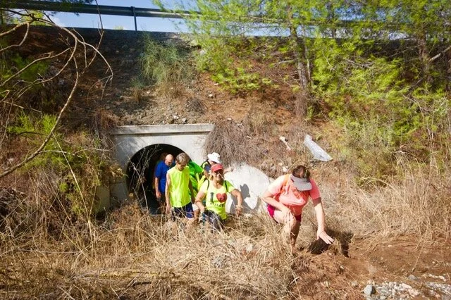 Hash Flash - Seaman Staines - Run 1657 - 15 Sep 2019 - Photo 31.jpeg