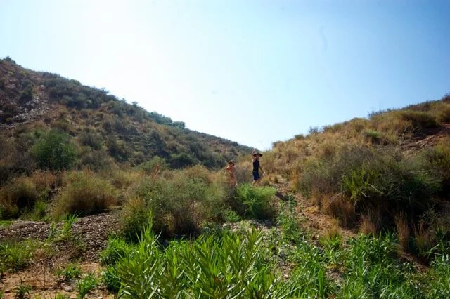 Mijas H3 - Hash Flash Appy Ending - Run 1659 - 29 Sep 2019 - Photo 15.jpeg