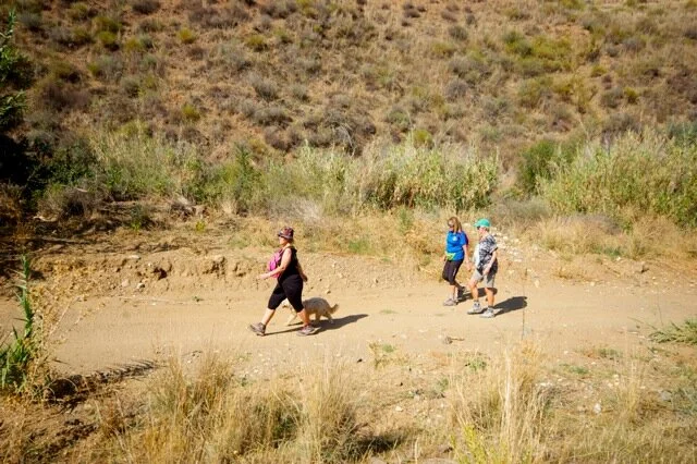 Mijas H3 - Hash Flash Appy Ending - Run 1659 - 29 Sep 2019 - Photo 16.jpeg