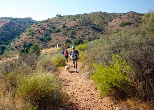 Mijas H3 - Hash Flash Appy Ending - Run 1659 - 29 Sep 2019 - Photo 17.jpeg