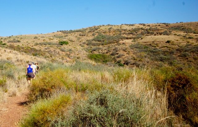 Mijas H3 - Hash Flash Appy Ending - Run 1659 - 29 Sep 2019 - Photo 18.jpeg