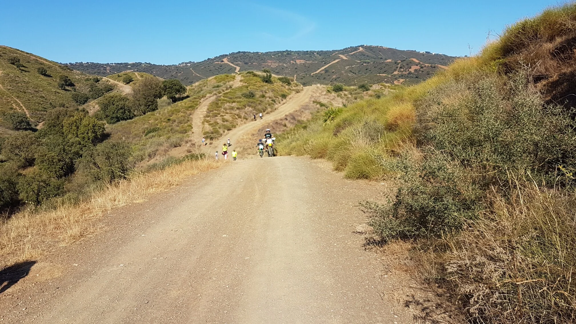 Mijas H3 - Hash Flash Eggshell Blonde - Run 1660 - 06 Oct 2019 - Photo 10.jpg