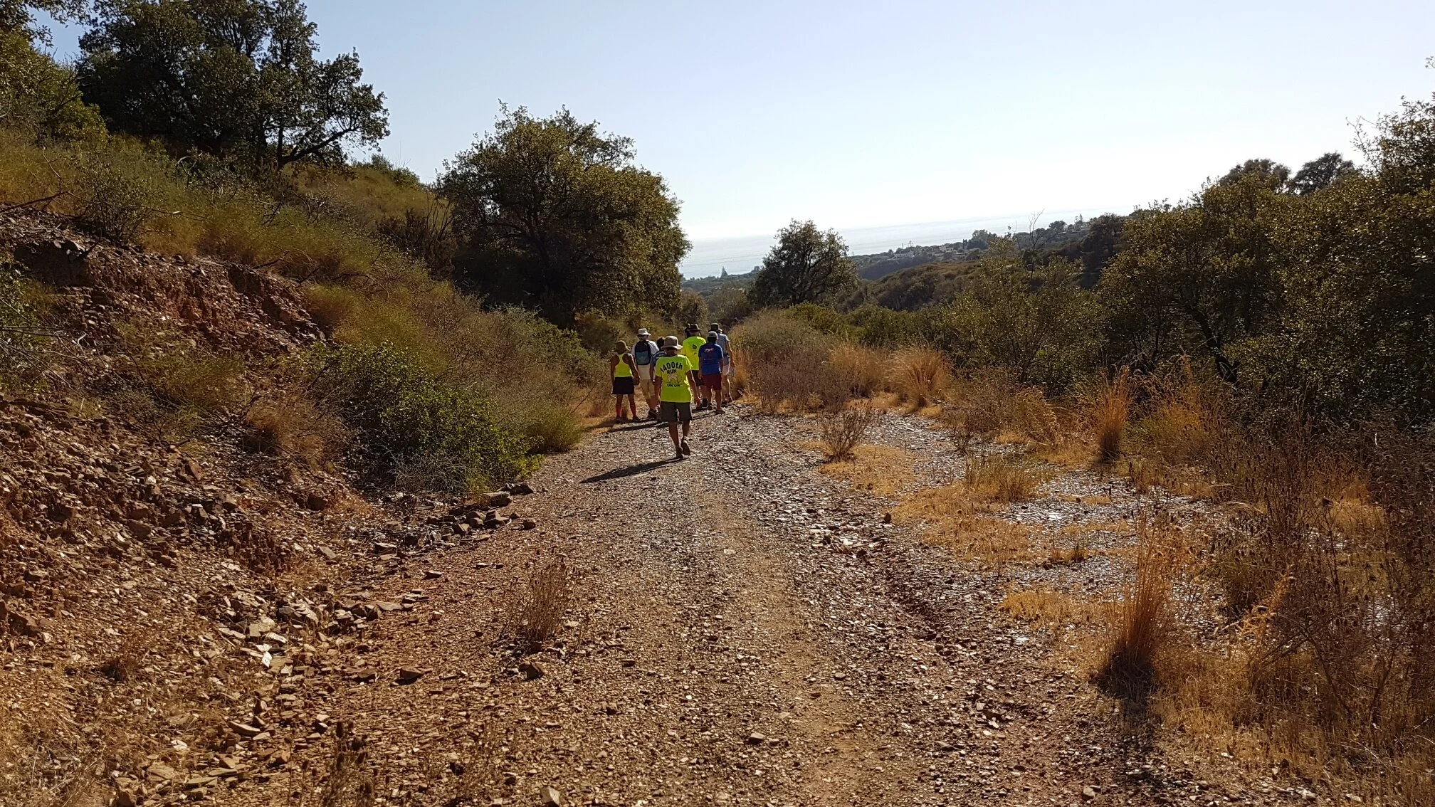 Mijas H3 - Hash Flash Eggshell Blonde - Run 1660 - 06 Oct 2019 - Photo 11.jpg
