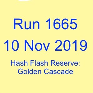 Run 1665 Label Golden Cascade.jpg