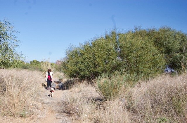 Mijas H3 - Hash Flash Seaman Staines - Run 1669 - 09 Dec 2019 - Photo 42.jpeg