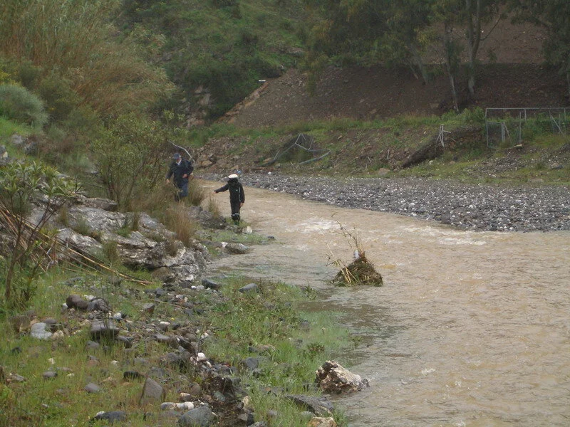 CIMG0800.jpg