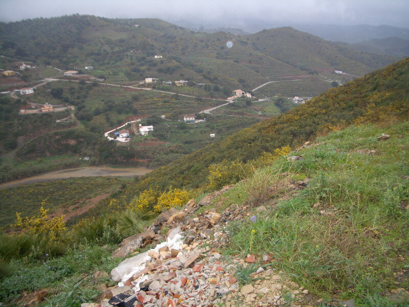CIMG0803.jpg