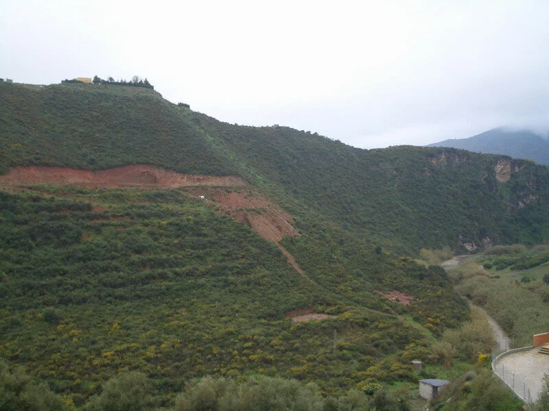CIMG0808.jpg