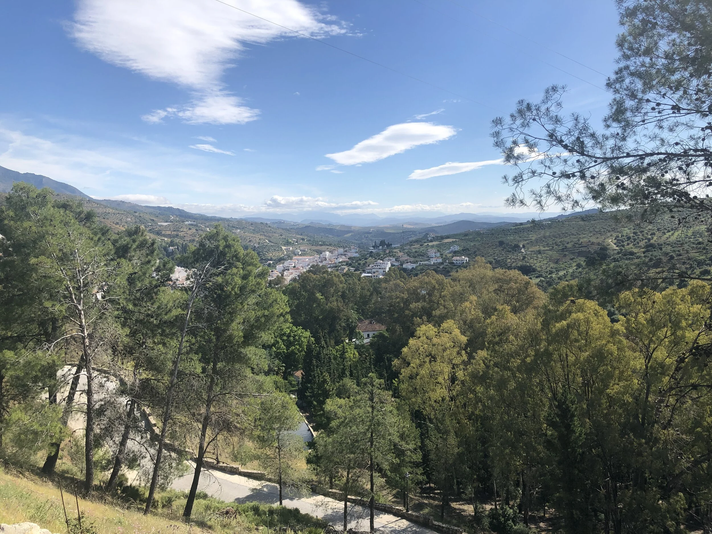 Mijas H3 - Hash Flash Sperm Aid - Run 1633 - 30th #2 Tolox (Orange) - 18 May 2019 - Photo 8.jpg