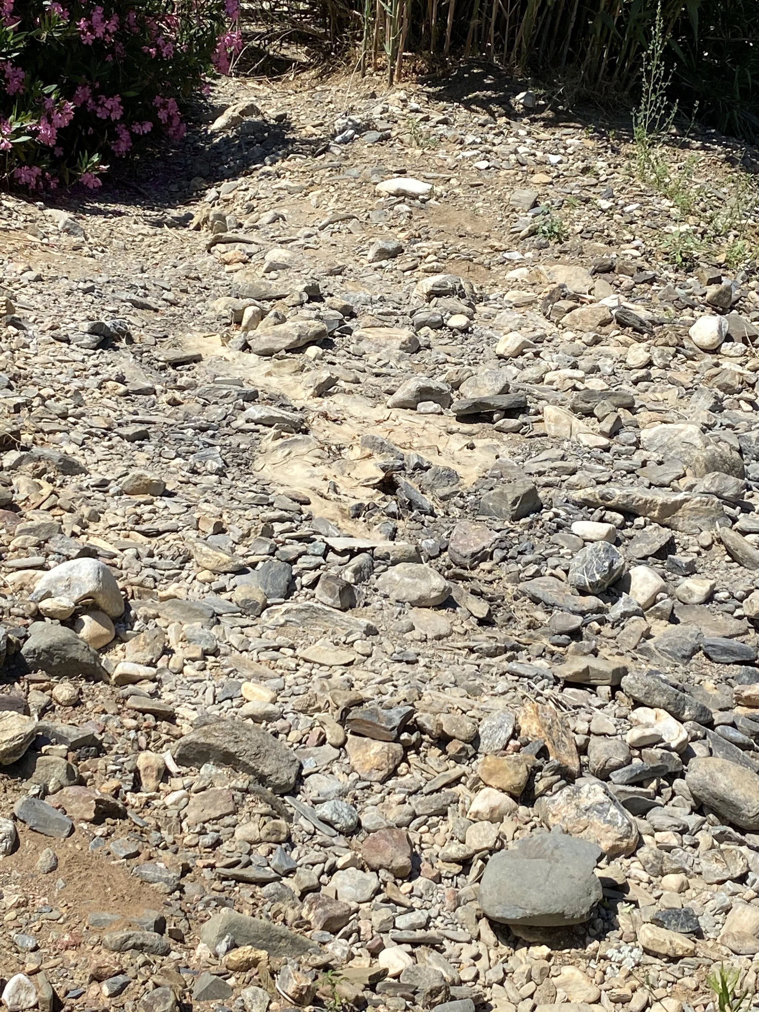 Mijas H3 - Hash Flash CB - Run 1701 - 28 Jun 2020 - Photo 22.jpeg