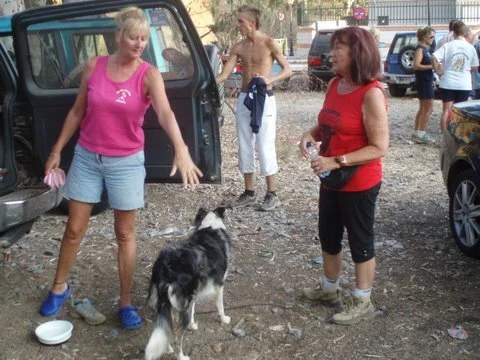 Picture 017.jpg